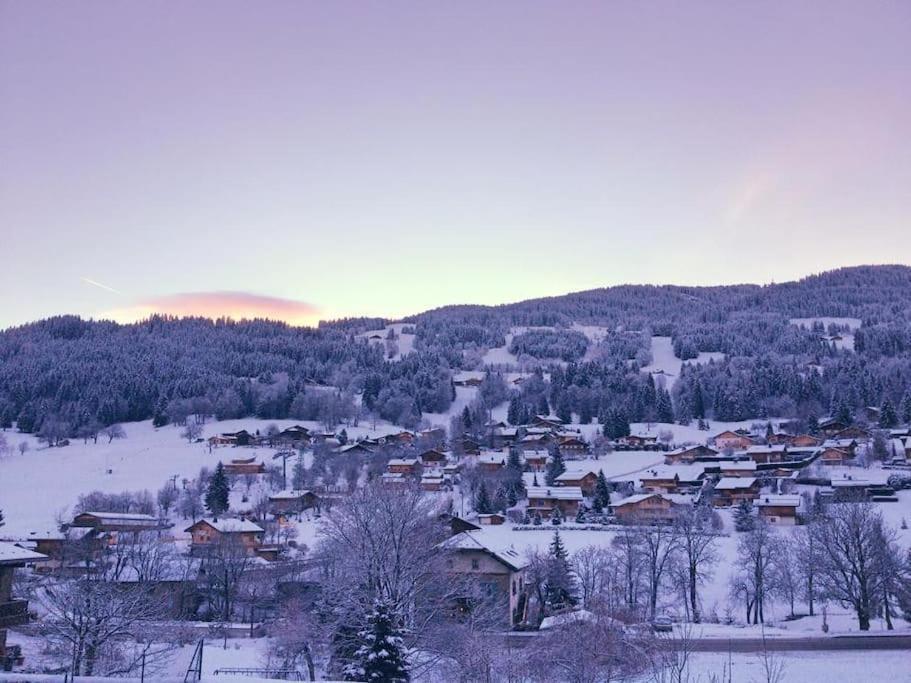 Pied-A-Terre Cosy Face Aux Pistes De La Princesse Daire Demi-Quartier Dış mekan fotoğraf